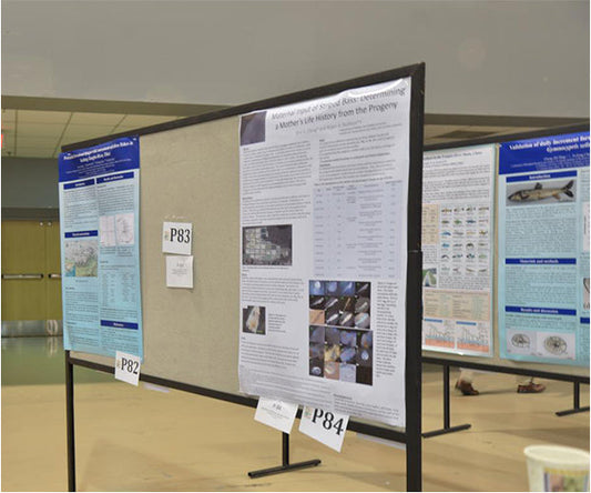 Canadian Poster (48x96 Paper Research Poster)