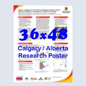 Canadianposter.com - cheapest Calgary Paper Research Poster 36x48 - pickup near Calgary Telus Convention Centre