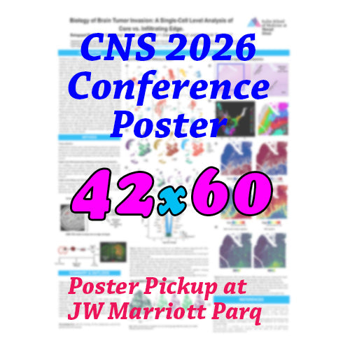 Canadianposter.com - CNS Research Poster 42x60 - pickup at JW Marriott Parq Hotel