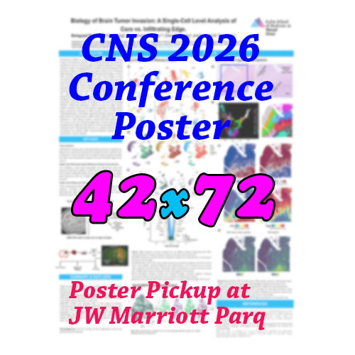 Canadianposter.com - CNS Research Poster 42x72 - pickup at JW Marriott Parq Hotel