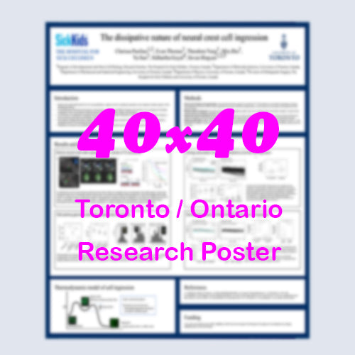Canadian Poster (40x40) - Cheapest Toronto Paper Research Poster - pickup near MTCC, Sheraton Centre and Westin Harbour Castle