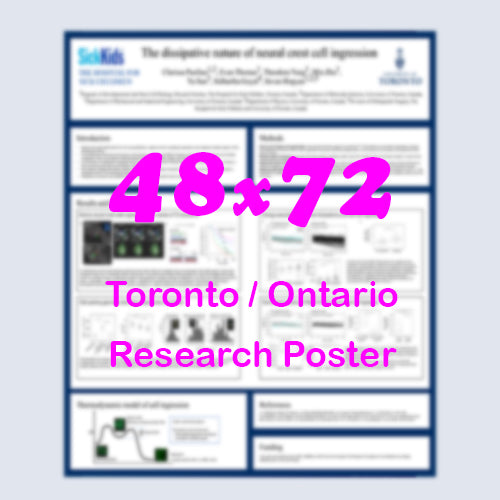 Canadian Poster (48x72) - Cheapest Toronto Paper Research Poster - pickup near MTCC, Sheraton Centre and Westin Harbour Castle