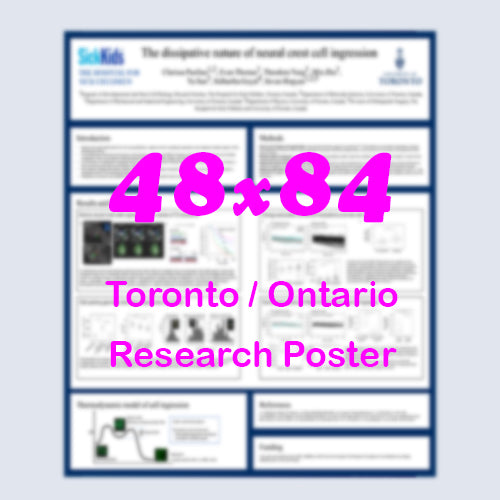 Canadian Poster (48x84) - Cheapest Toronto Paper Research Poster - pickup near MTCC, Sheraton Centre and Westin Harbour Castle