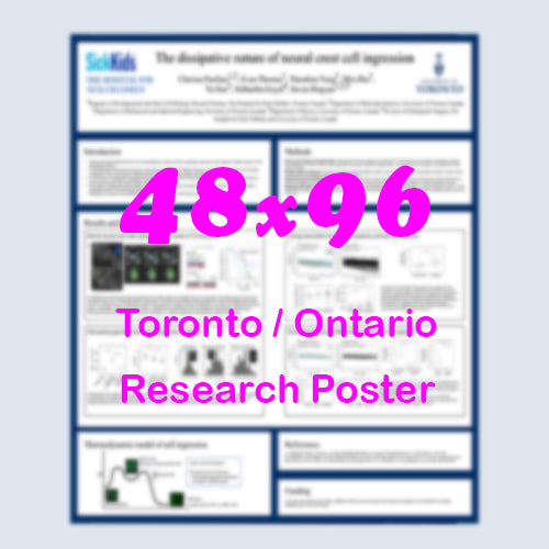 Canadian Poster (48x96) - Cheapest Toronto Paper Research Poster - pickup near MTCC, Sheraton Centre and Westin Harbour Castle
