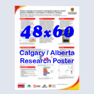 Canadianposter.com - cheapest Calgary Paper Research Poster 48x60 - pickup near Calgary Telus Convention Centre